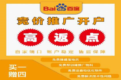 某电商平台的SEM竞价专员成功案例分享